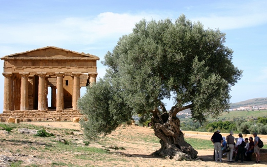 Greek temple at Agrigento Sicily Temple of Concordia Agrigento