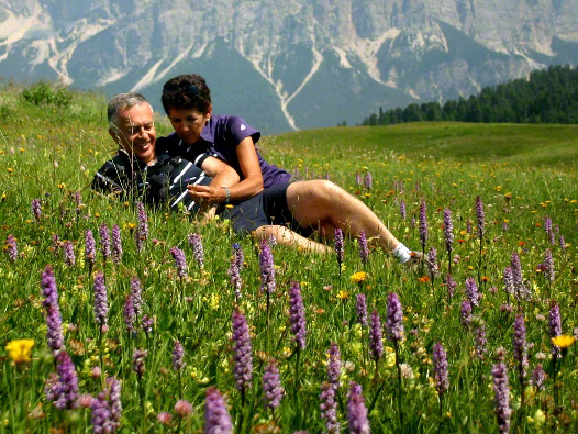 orchid field resting hikers wildflowers in the dolomites