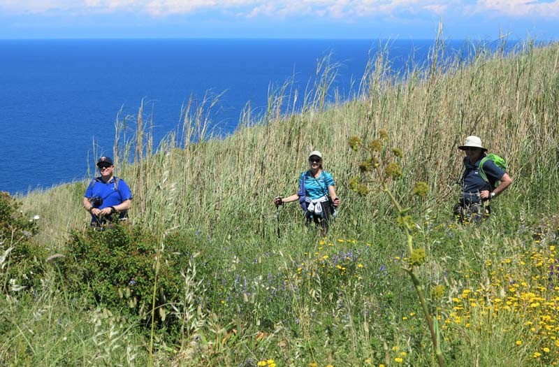 Group hiking among wildflowers near ocean